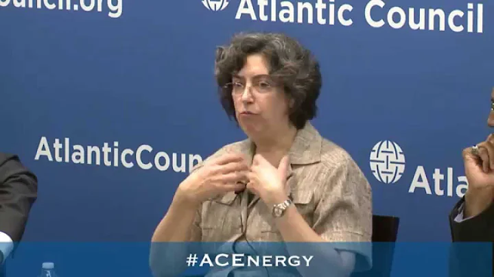 The Political Economy of Subsidy Reforms in MENA: ...