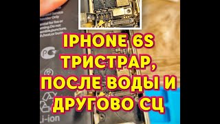 : IPHONE 6S   (U2) +   