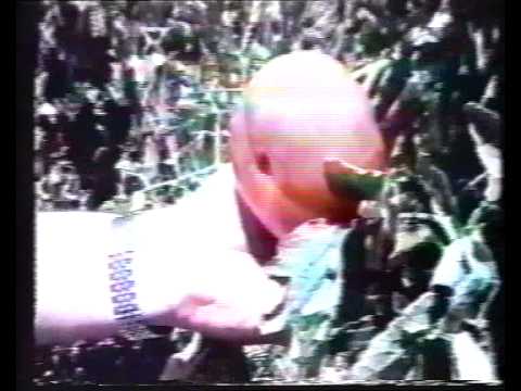 ბიო სტიმულატორი