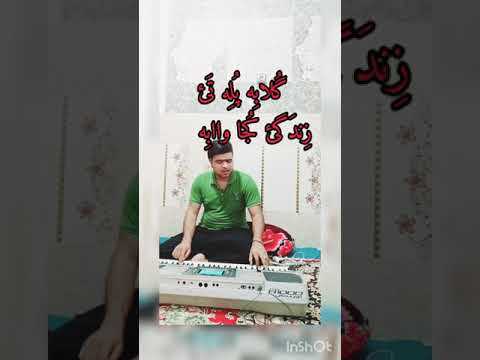 Mobin Tanha نوازنده وخواننده آهنگ بلوچی گلاب پل تئ زندگی کجا وابه