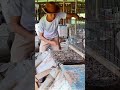 How Rabbit Poop is Handled Real Farm Process