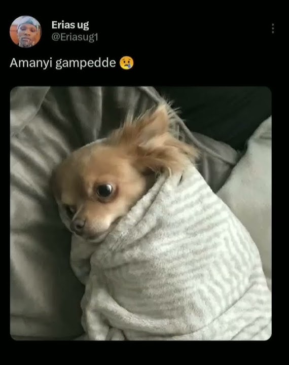 amanyi gampedde,, endobeso