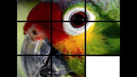 Animal Sliding Puzzle for Kids. Solve them now!