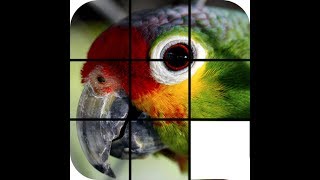 Animal Sliding Puzzle for Kids. Solve them now! screenshot 1