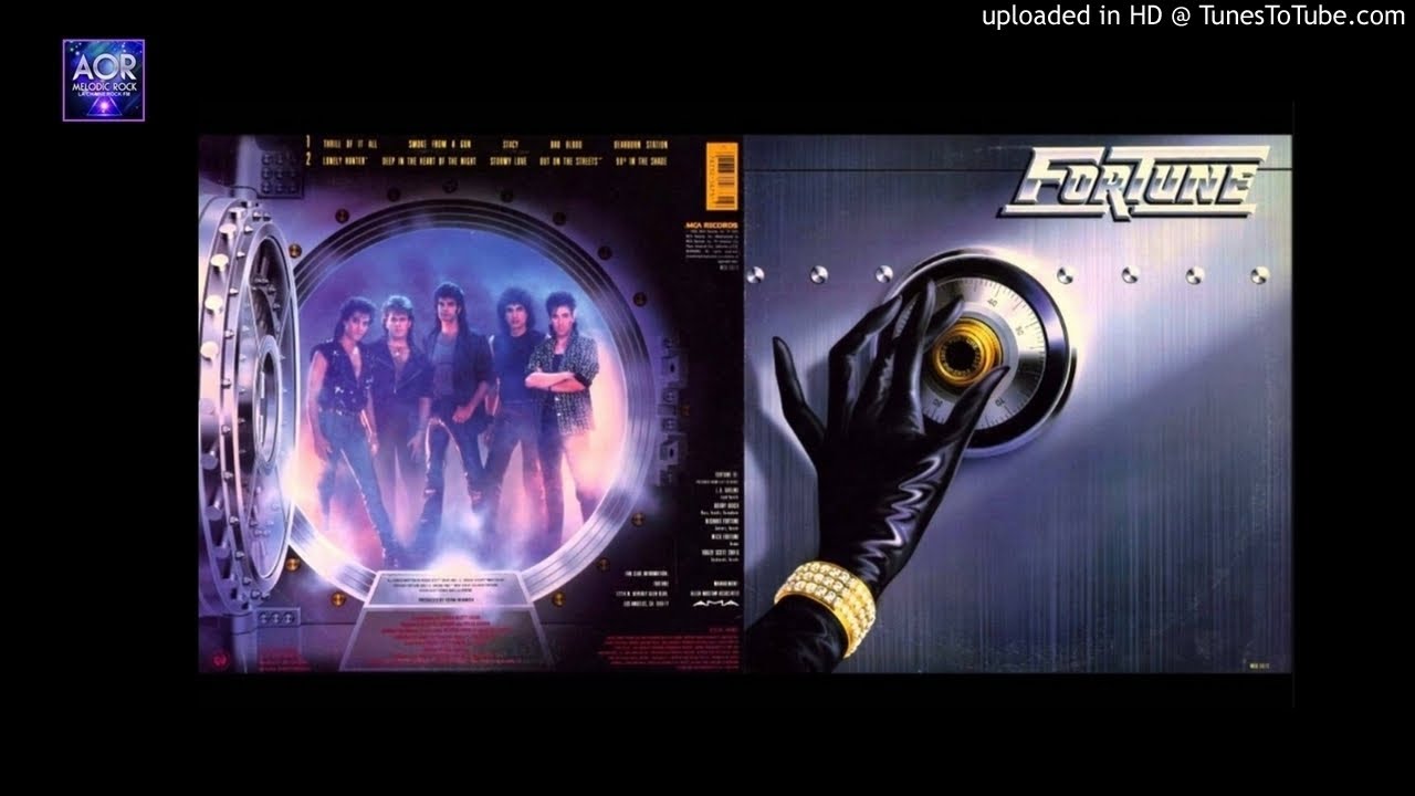 80S/USハードポップ/メロディック・ロック - FORTUNE 20th Anniversary 