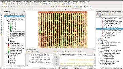 Sensoriamento Remoto. Drone. Algoritmo. QGIS.Fruticultura de Precisão. Citros. [FindCITRUS-V1]