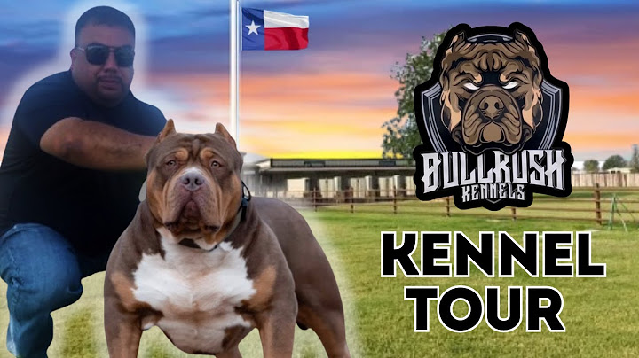 This Texas XL Bully Kennel Blew My Mind! Bull Rush/He-Rose Kennels
