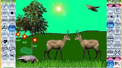 How to draw a Jungle Scene in Tux Paint