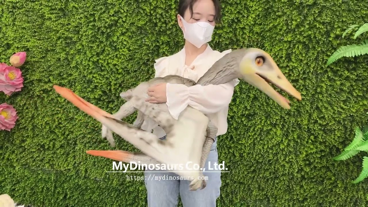BESTonZON Marionnette Ptérodactyle – Pterodactyl Puppet – Dinosaur Hand Puppet – Jeu De Rôle Et éveil – Dès 3 Ans