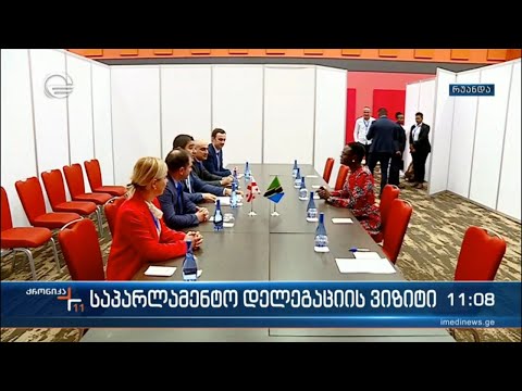 საპარლამენტო დელეგაციის ვიზიტი