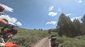 Mt.Patterson: along FS32115