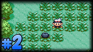 Pokemon Sapphire Walkthrough - Part 2