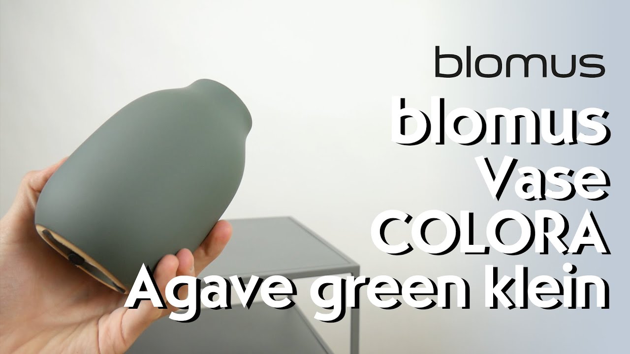 blomus COLORA Vase Agave green klein Unboxing - Hertie
