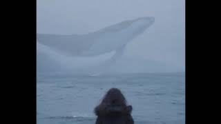 Woodju - VACUUM (Slowed   Reverb)