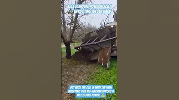 Tree Removal Powerhouse! 🚜 Uprooting an Orchard #shorts