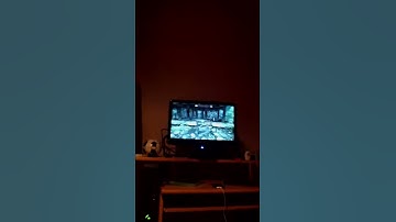 Skyrim invincibility glitch