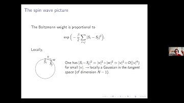 Sebastien Ott: Asymptotic expansion for classical O(N) models