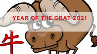 Year Of The Goat 2021  Year Of The Goat 2021 Horoscope U0026 Feng Shui Forecast The Goat Lucky In 2021
