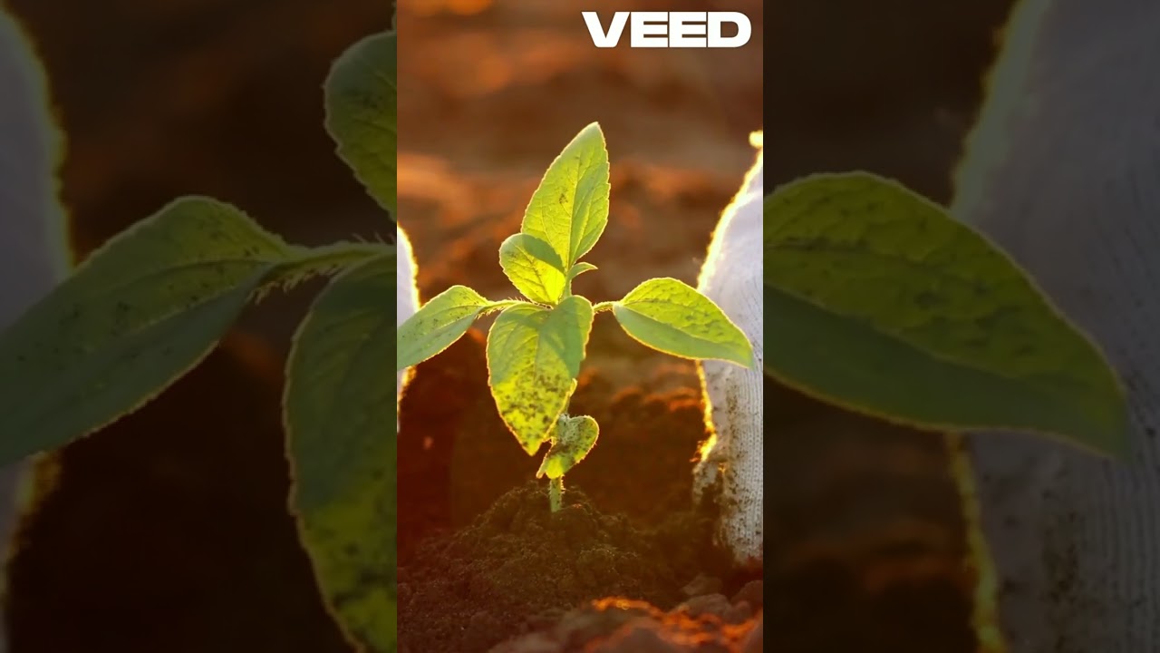 Earn Green Credits for Eco Friendly Actions 