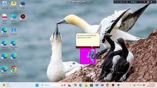 I Got Another Laptop! (Backup Laptop)
