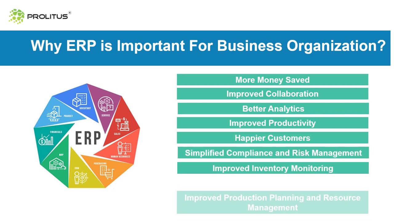 Why Every Business Needs ERP Software in 2025
