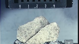 Loopooloo - Tremolin