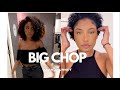 2021 HAIR JOURNEY | I CHOPPED OFF MY HAIR!! | BIG CHOP | LAURENCAMILLE