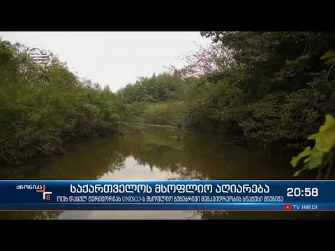 საქართველოს მსოფლიო აღიარება