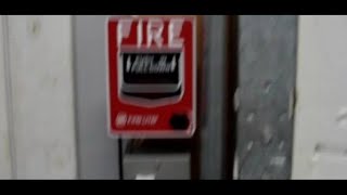 Walk Test 2/Sysem Test 9 reaction