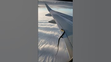 Snake spotted on Emirates wing 😱 | python on aeroplane | #snake #python #shorts