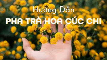 Cách Pha Trà Hoa Cúc Chi Táo Đỏ Kỷ Tử Giúp Ngủ Ngon Thư Giãn Từ Tôi Yêu Trà