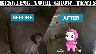 Cleaning & Resetting 420 grow Tents full OCD clean also Channel update 4x4 & 5x5 flower. 🥳