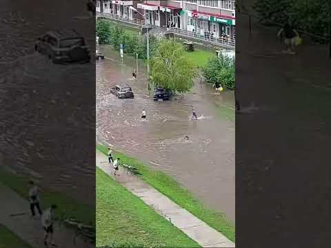 Новосибирск, п. Краснообск, 21 июля 2023г.