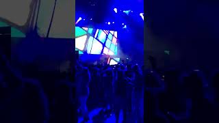 2018_1012 Qtopia Marshmello IMG 0353