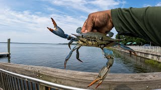 Another Great Crabbing Day**Catch and Cook**3 Locations