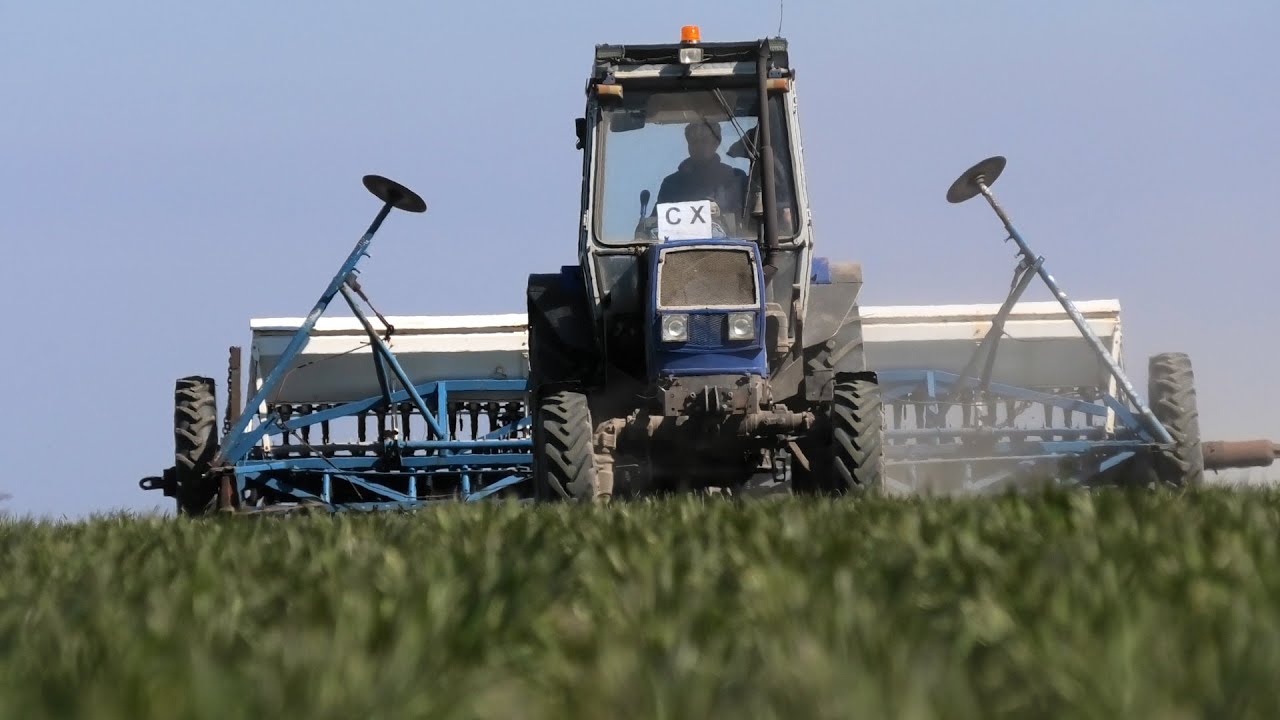 Подкормка пшеницы сеялкой 23.03.2022 г. ЮМЗ-8280 СЗ-5.4