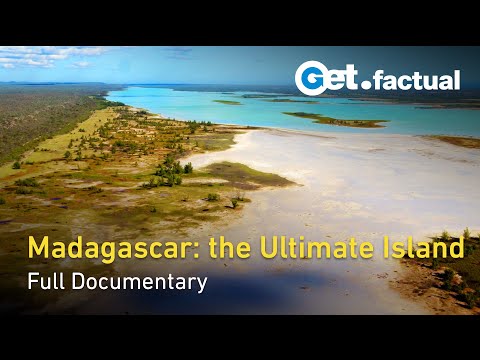 Madagascar: Tales of Lemurs, Fossas, and Unseen Battles | Full Documentary