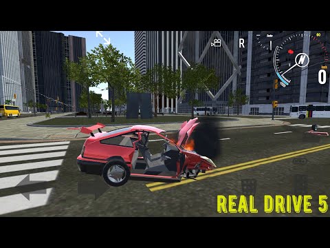 Real Drive 5
