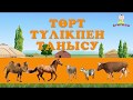 Төрт түлік | Домашние животные на казахском | Introduce children to four kinds of livestock