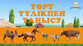 Төрт түлік | Домашние животные на казахском | Introduce children to four kinds of livestock