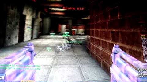 Unreal Tournament 2004 AIMBOT / WALLHACK