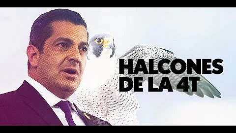 Halcones en la 4T