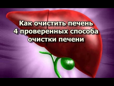Как очистить печень - 4 проверенных способа очистки печени