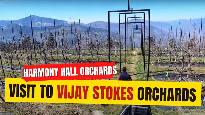 VLOG -1 | Vijay Stokes Orchards in Thanedar