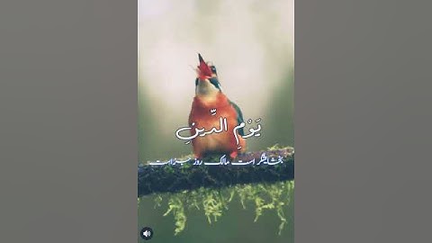 سورة الفاتحه بصوت جميل