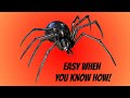 How to make a Spider from Steel.