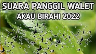 SUARA PANGGIL WALET - AKAU BIRAHI 2022