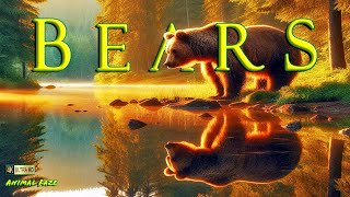 The BEAR Necessities of the Wild 4K ~ Animals (Relaxing Music)
