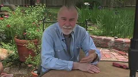 Adobe Flash CS5.5 for Beginners - learn Adobe Flash