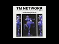 TM Network - Fallin&#39; Angel